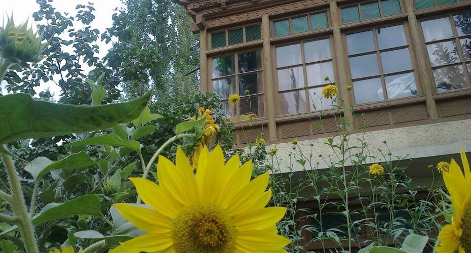 Alchi Home Stay, Leh 1